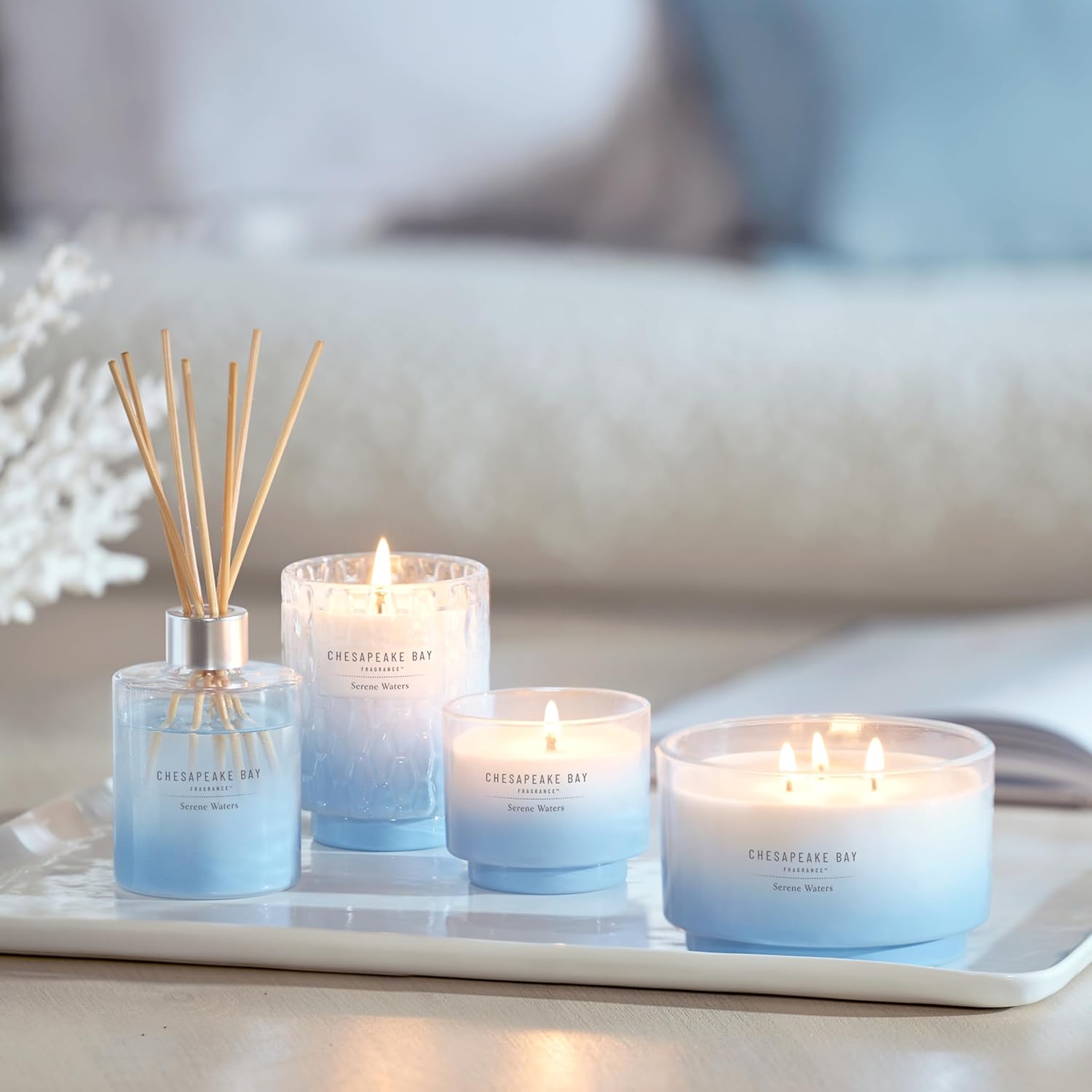 Chesapeake Bay, Reed Diffuser, 5.7oz, Serene Waters Scent, Mood Evoking, Sea Glass-Inspired Jar, Room Filling Fragrance Made with Essential Oils, Coastal Fragrance for Home Décor or Gifting