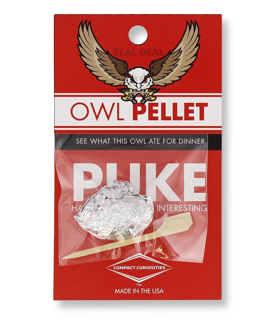 Copernicus Real Owl Pellet