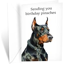 Prime Greetings Funny Dog Birthday Card Pun With Doberman Pinscher, Made in America, Eco-Friendly, Thick Card Stock with Premium Envelope 5in x 7.75in, Packaged in Protective Mailer