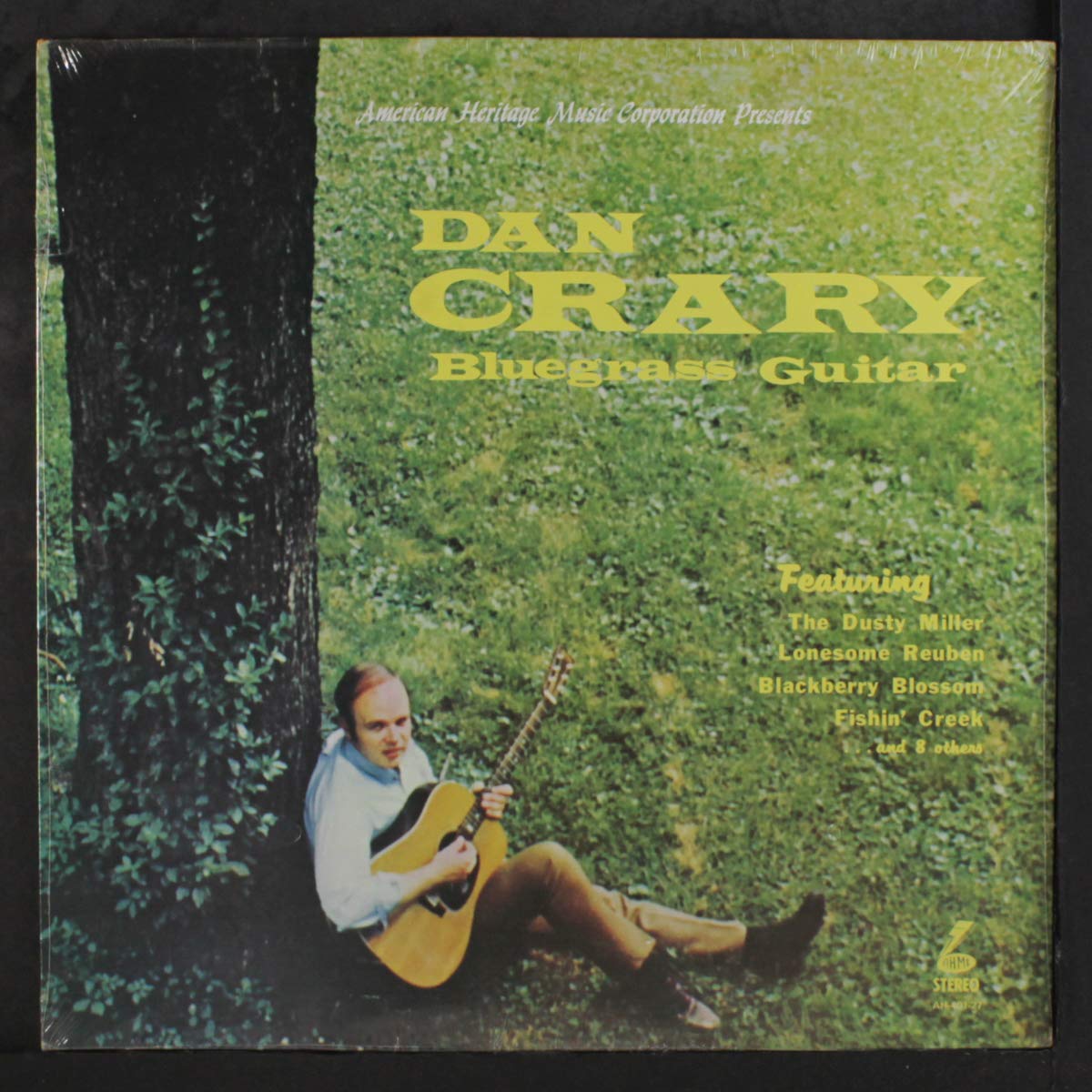 bluegrass guitar LP