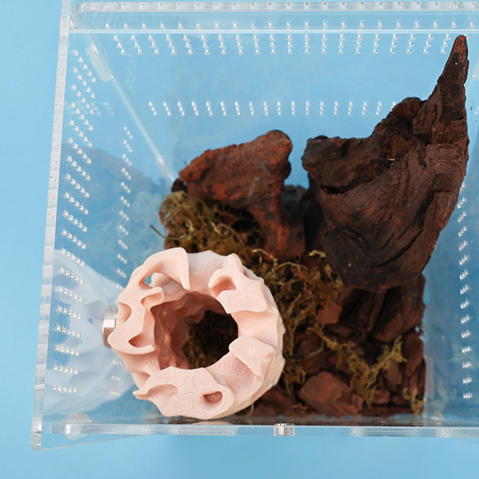 Spider Shelter - Magnetic Reptile Hiding Place | 3D Printed Gecko Cave, Sturdy Habitat for Jumping Spider, Climbing Pet Frog, Amphibian Enclosure, Safe and Easy-to-Attach Terrarium Accessory