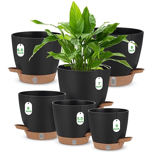 Self Watering Planter Set with Visual Water Level, 6Pack Small