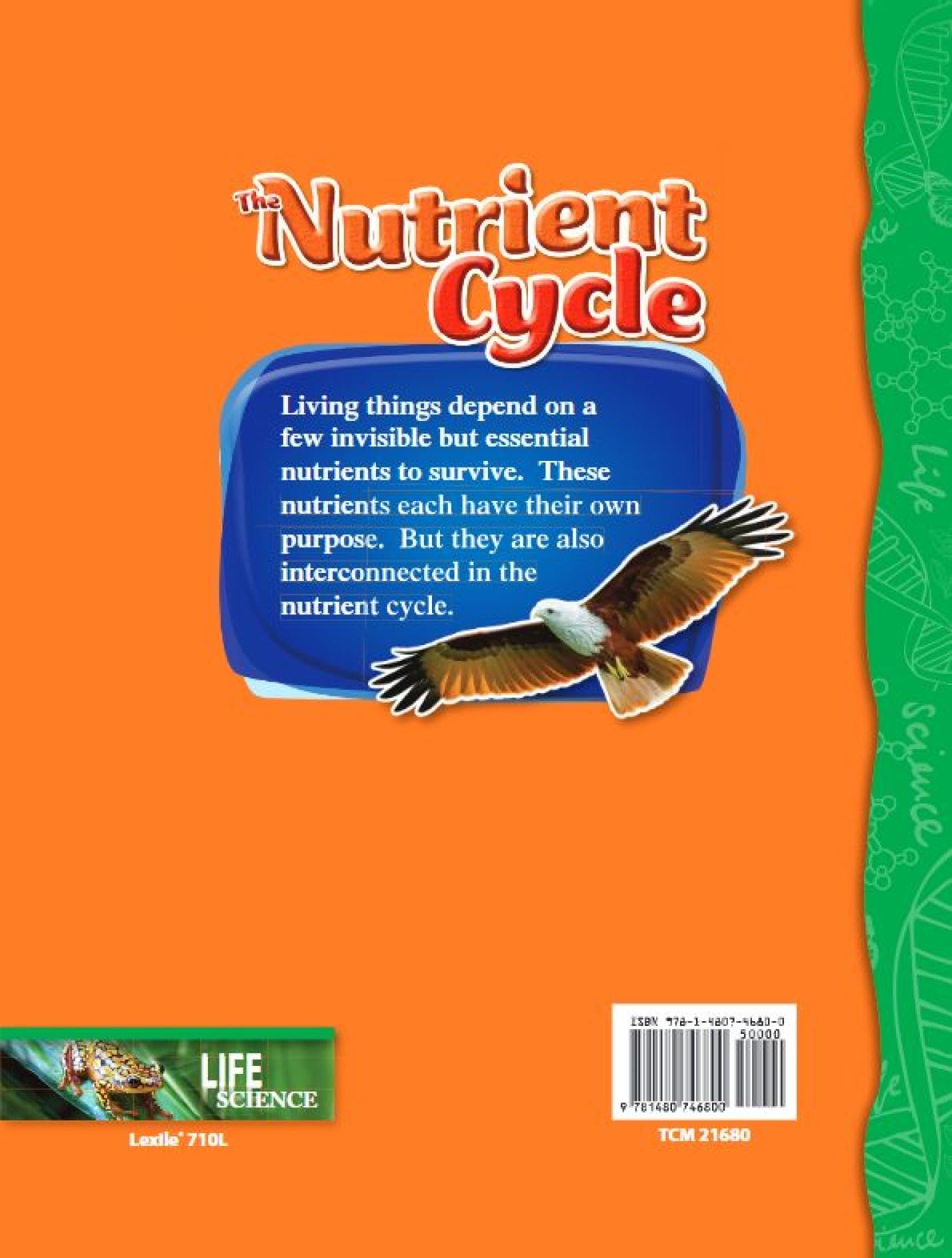 Life Science Grade 4: 5-Book Set (Science Readers: Content and Literacy) - Image 6