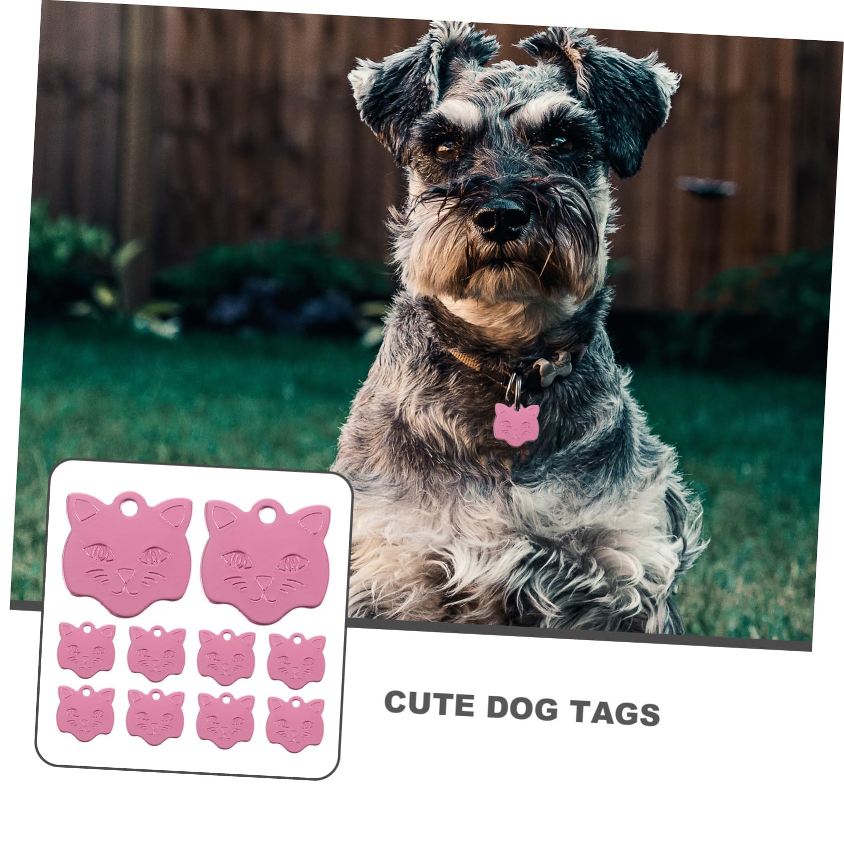 TOYANDONA 5 Set Medaglietta Per Animali Domestici Etichetta Chiacchierata Animale Domestico Tag Collare Per Cani Targhetta Per Il Del Collare Del Cane Lega Di Alluminio Rosa 10 Pezzi*5