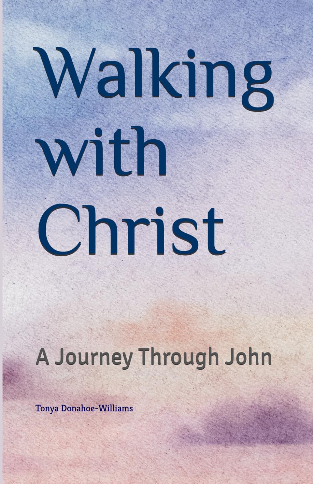 Walking with Christ: A Journey Through John