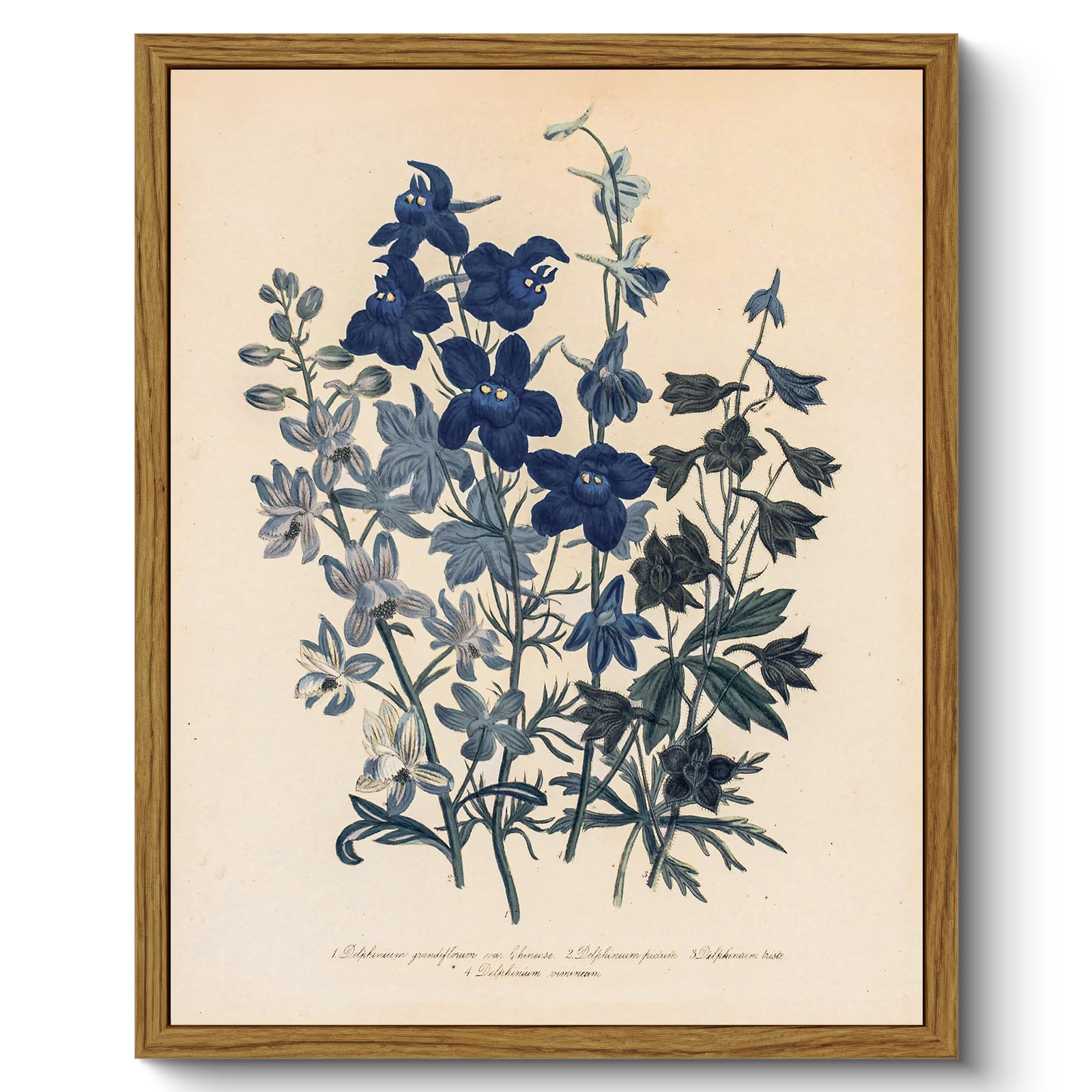 ARPEOTCY Vintage Framed Botanical Wall Art, Bedroom Bathroom Blue Flowers Pictures Art Decor, Canvas Print Retro Paintings, Home Rustic Farmhouse Neutral Decor, 8x10 Inch