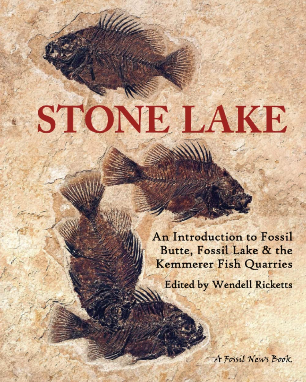 Stone Lake: An Introduction to Fossil Butte, Fossil Lake & the Kemmerer Fish Quarries (Fossil News Books)