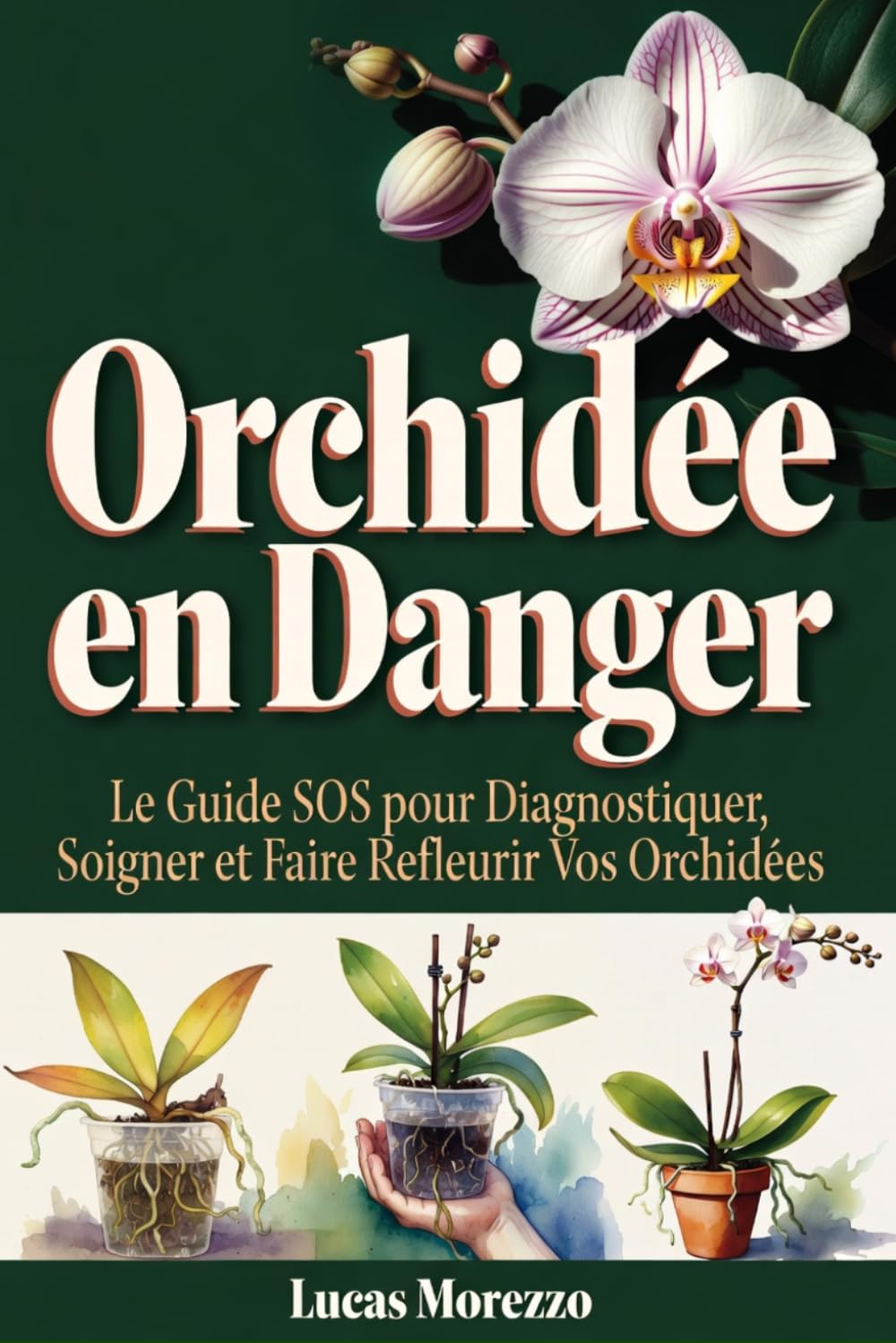 ORCHIDÉE EN DANGER Le Guide SOS pour Diagnostiquer, Soigner et Refleurir Vos Orchidées: Diagnostiquez le problème exact de votre orchidée en quelques minutes et sauvez votre orchidée