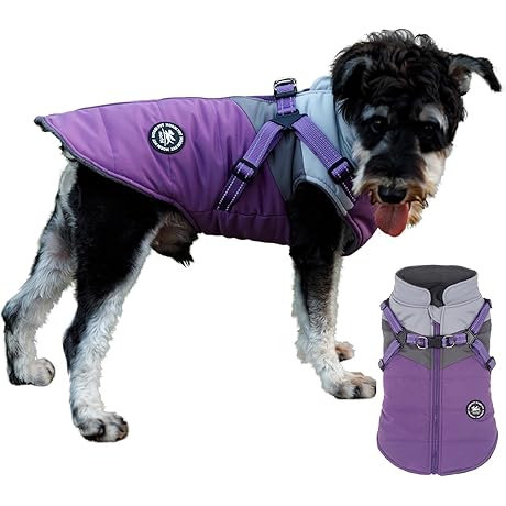 Norbi Dog Winter Coat: The Ultimate 2-in-1 Solution for Your Furry Companion