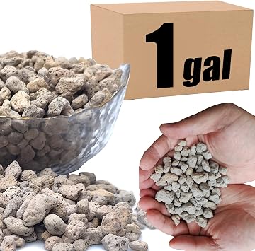 Organic Pumice for Bonsai and Horticultural 100% Natural 1 gallons, 3/8 inch