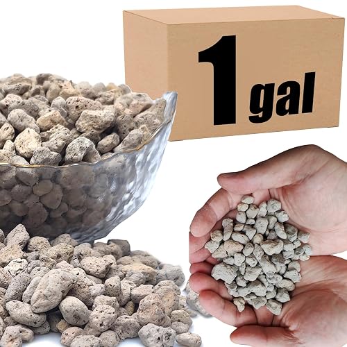 Organic Pumice for Bonsai and Horticultural 100% Natural (1 gallons,