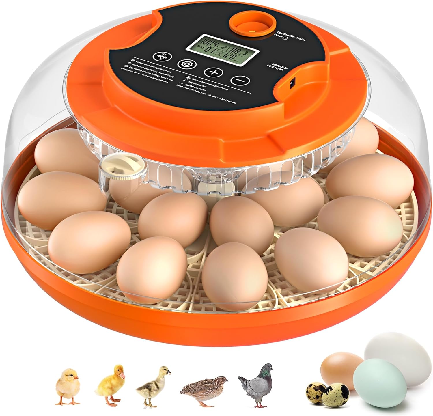 Egg Incubator with Automatic Egg Turning and Humidity Control, 18 Eggs Incubators for Hatching Eggs Chicken Quail Ducks Goose Parrot for Home Lab Farm Classroom