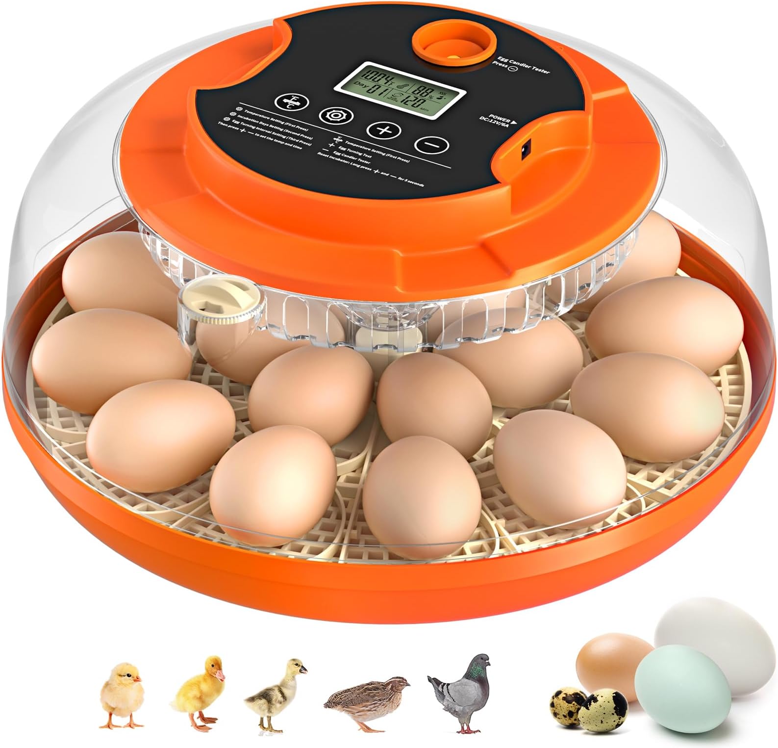 18 Egg Incubator with Automatic Egg Turning and Humidity Control, Incubators for Hatching Eggs, Chicken, Ducks, Goose, Pigeon, Quail, Parrot Incubator for Farm, Lab, Science Classroom, Home (Orange)
