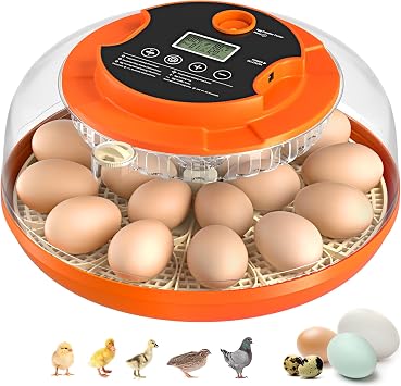 Egg Incubators for Hatching Eggs, 18 Egg Incubator with Automatic Egg Turning and Humidity Control Incubator for Chicken Duck Quail Home Lab