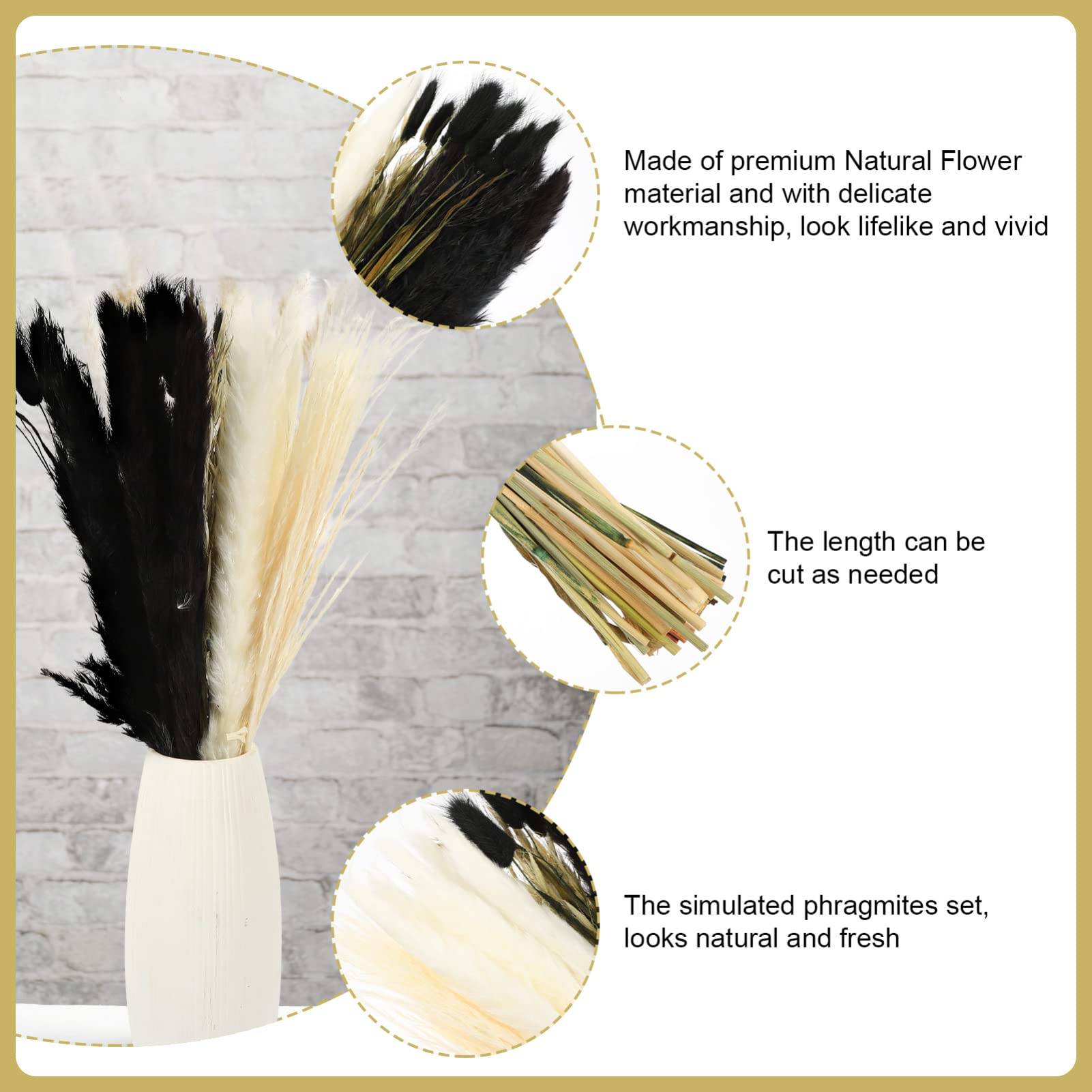 VORCOOL 1 Scatola Bundle Secche Naturali Bundle Soffici Pampas Cancene Secche Fiore di Fiori Decorativi Fiori di Riempitivo Floreale Rustico per Bouquet Bouquet a Boho