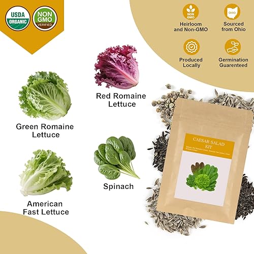 Miniatura 2 de Kit de cápsulas de semillas para ensalada César para AeroGarden, idoo, Ahopegarden, MUFGA con lechuga romana verde, lechuga romana roja, espinacas y