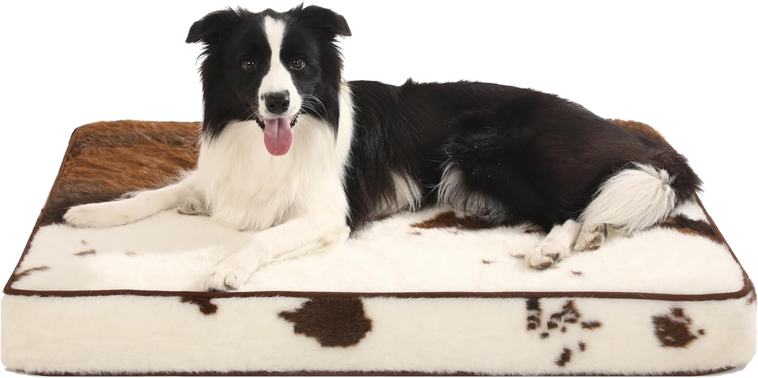 Bedfolks 4" Thick Orthopedic Dog Bed for Extra Large Dogs