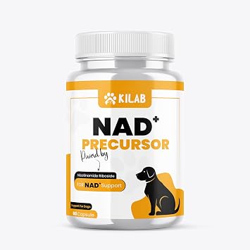 Kilab NAD+ Precursor Supplement for Dogs - 60 Capsules - Supports Healthy Aging & Skeletal Muscle Support & Recovery - Brain, Heart, Cellular Energy Support - Nicotinamide Riboside Chloride