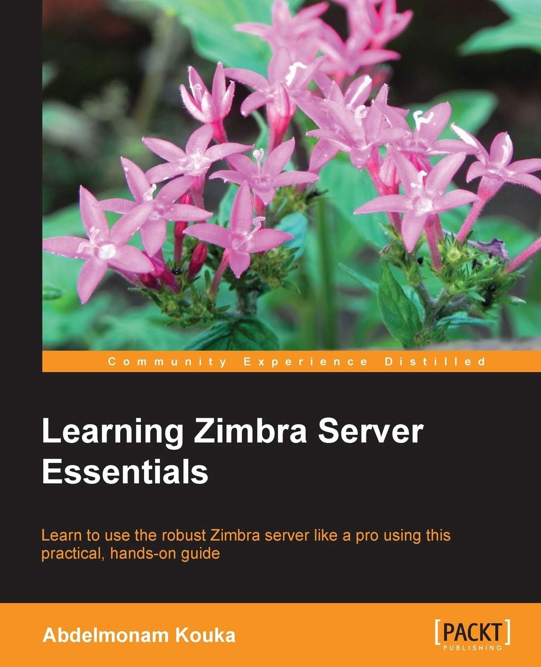 Learning Zimbra Server Essentials Paperback – October 24, 2013