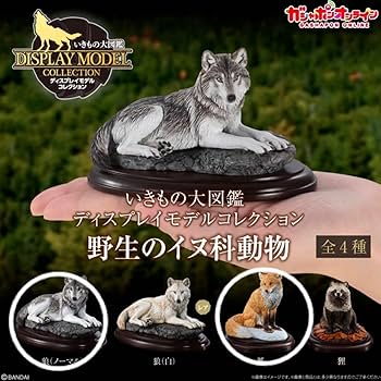 Amazon | 野生のイヌ科動物 フィギュア カプセルトイ 狼 狐