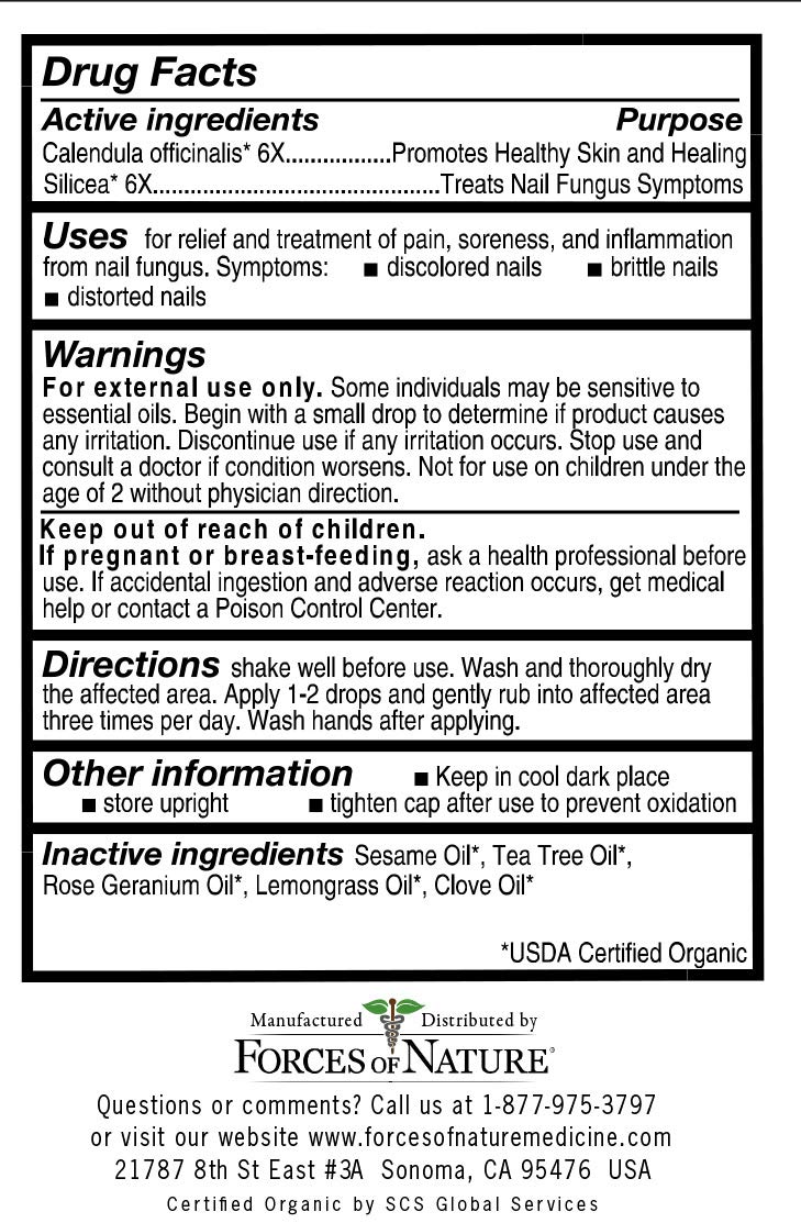 Forces Of Nature, Nail Fungus Control Organic, 0.37 Ounce : Foot Care Products : Health & Household