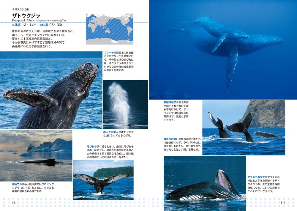 Amazon.com: 水口 博也: books, biography, latest update