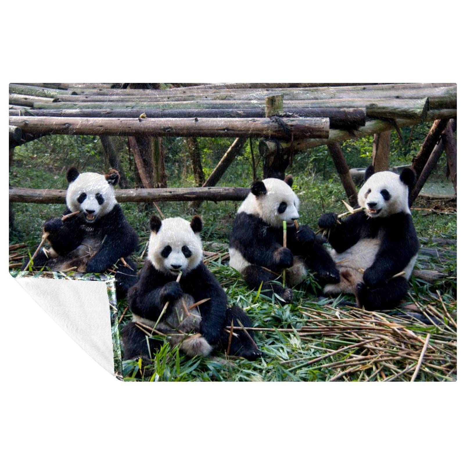 Couverture chaude pandas, le plaid douillet pour toute la famille