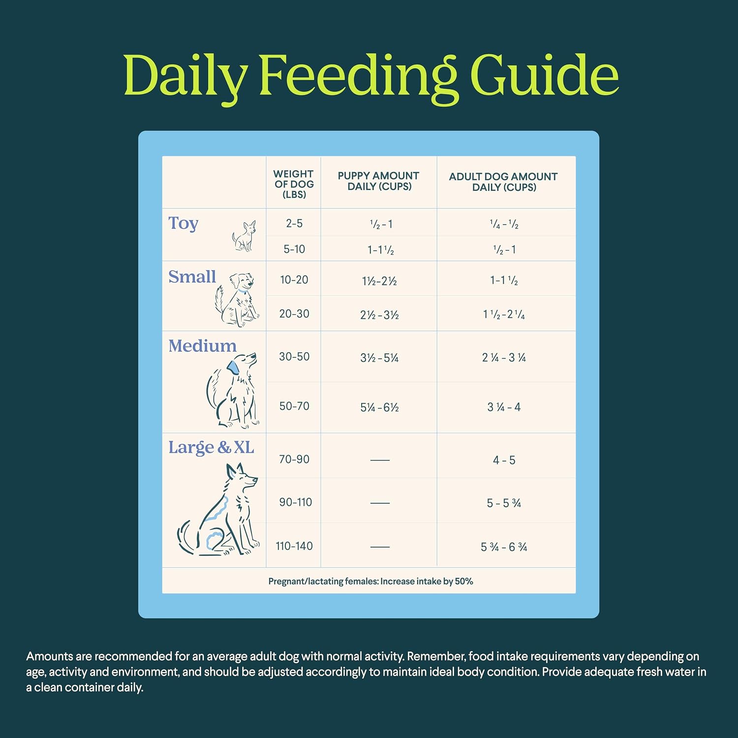 ARCHWAY Silver Carp Limited Ingredient Diet Dry Dog Food - Omega Rich Wild Caught Fish - High Protein, Simple Nutritious Ingredients, Hypoallergenic, Gluten-Free - Adult Dog & Puppy Food (15LB)