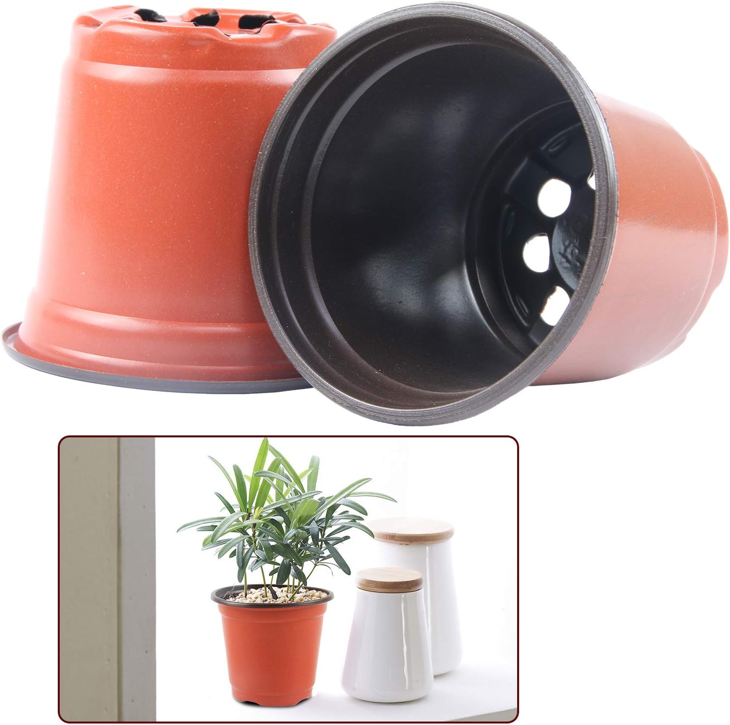 Augshy 150 Pcs 4" Plastic Plants Nursery Pot,Seed Starting Pots : Patio, Lawn & Garden