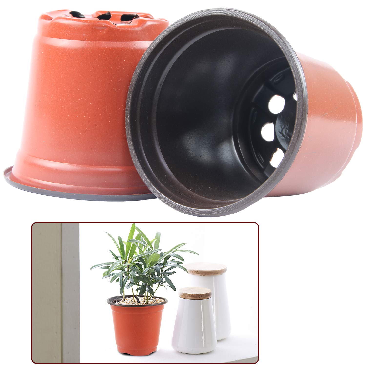 Augshy 150 macetas de plástico de 4 pulgadas para plantas de vivero, macetas de inicio de semillas para trasplante de corte de plántulas suculentas