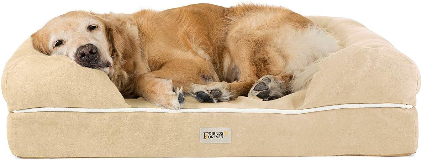 Friends Forever Large Dog Bed, Orthopedic Dog Sofa Memory Foam Mattress, Calming Dog Couch Bed, Wall Rim Pillow, Water Resistant Liner, Washable Cover, Non-Slip Bottom, Chester, Large Vanilla