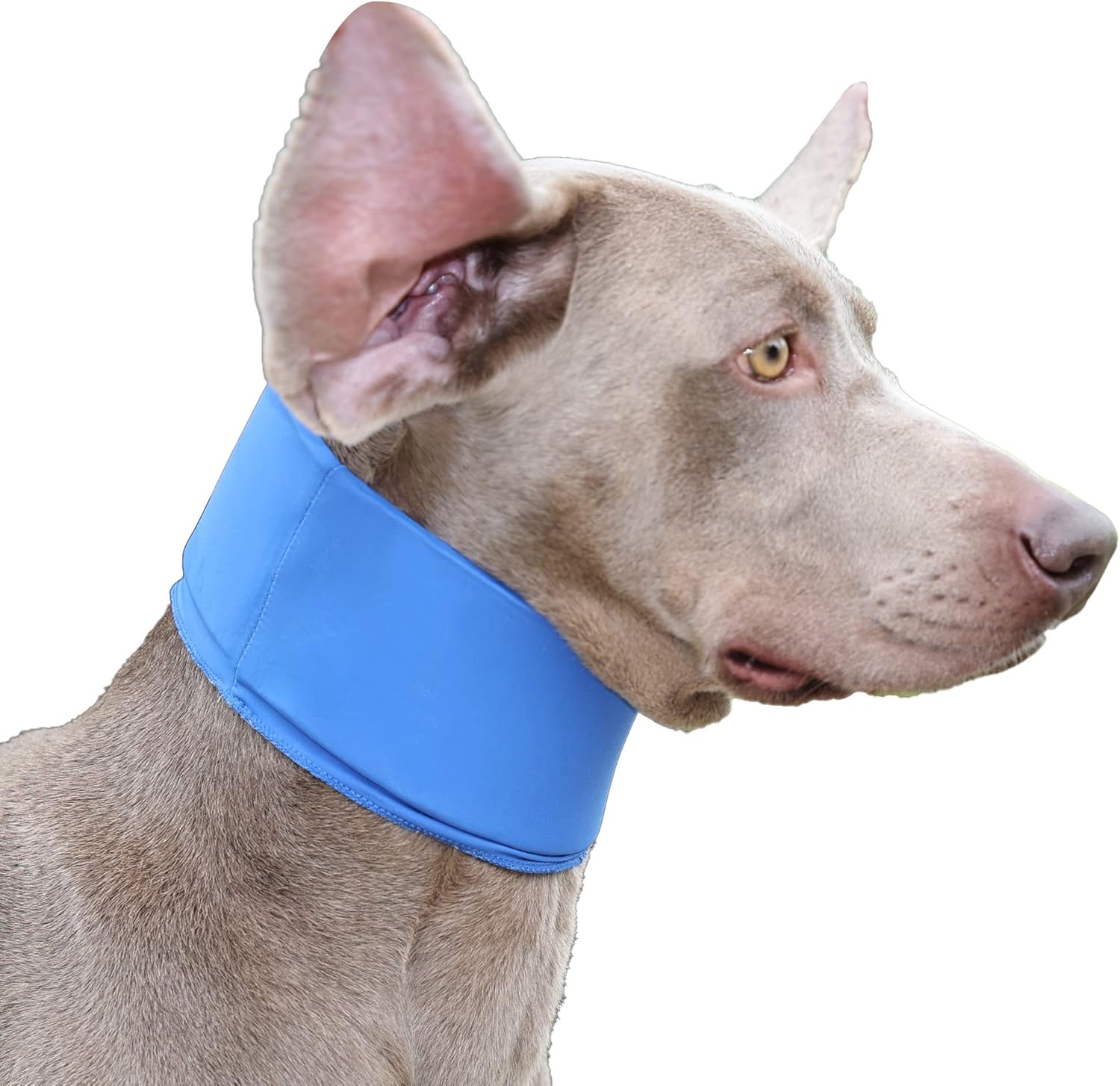 Dog Neck Brace After Surgery,Breathable Dog Protective Collar,Blue
