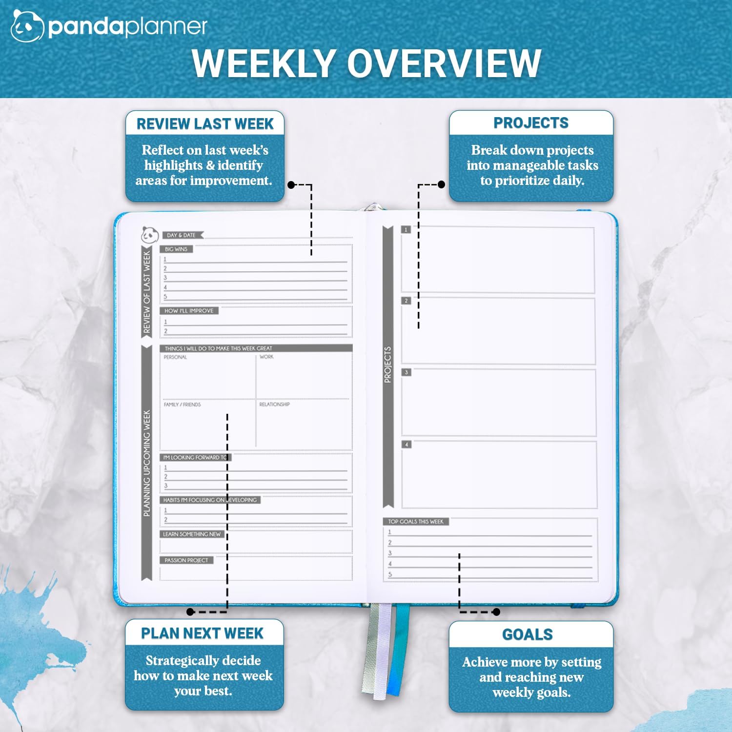 Panda Planner Classic monthly and goal overview layouts