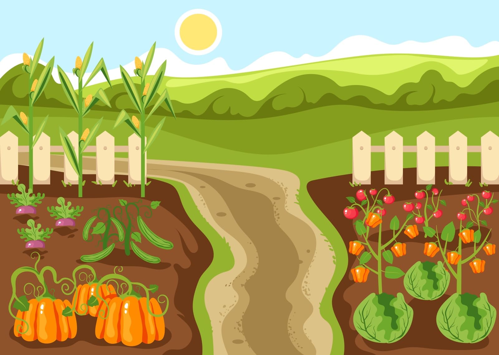 BELECO 3.6x3m Telo sfondo orto vegetale | Zucche mais pomodori terreno agricolo verde sfondo tema fattoria ritratti bimbi adulti studio foto