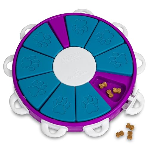 Outward Hound by Nina Ottosson Dog Twister Treat Puzzle Enrichment Toy, Level 3 Advanced, Purple - Dog Twister (Purple, Blue)