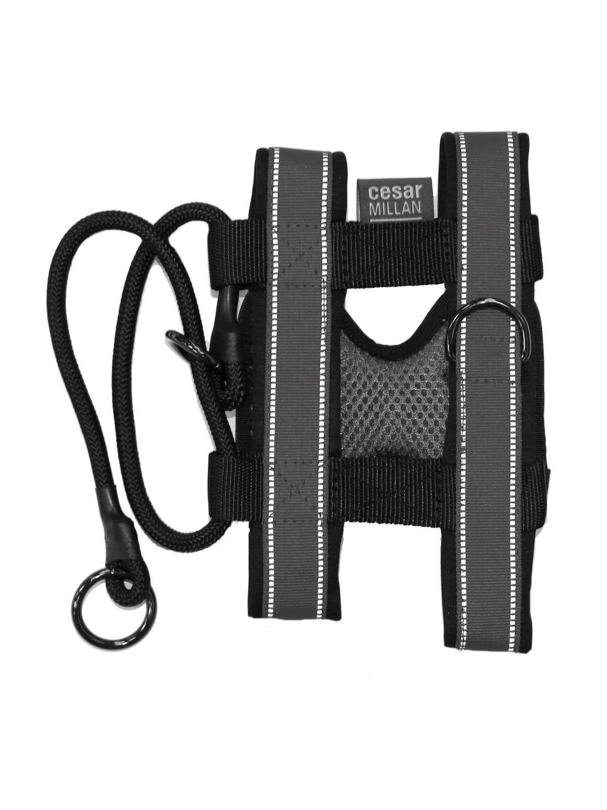 cesar millan harness instructions