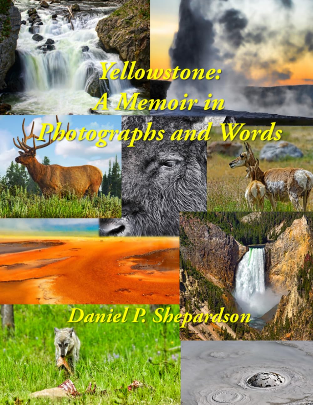 Yellowstone: A Memoir in Photographs le cadeau idéal pour voyageur
