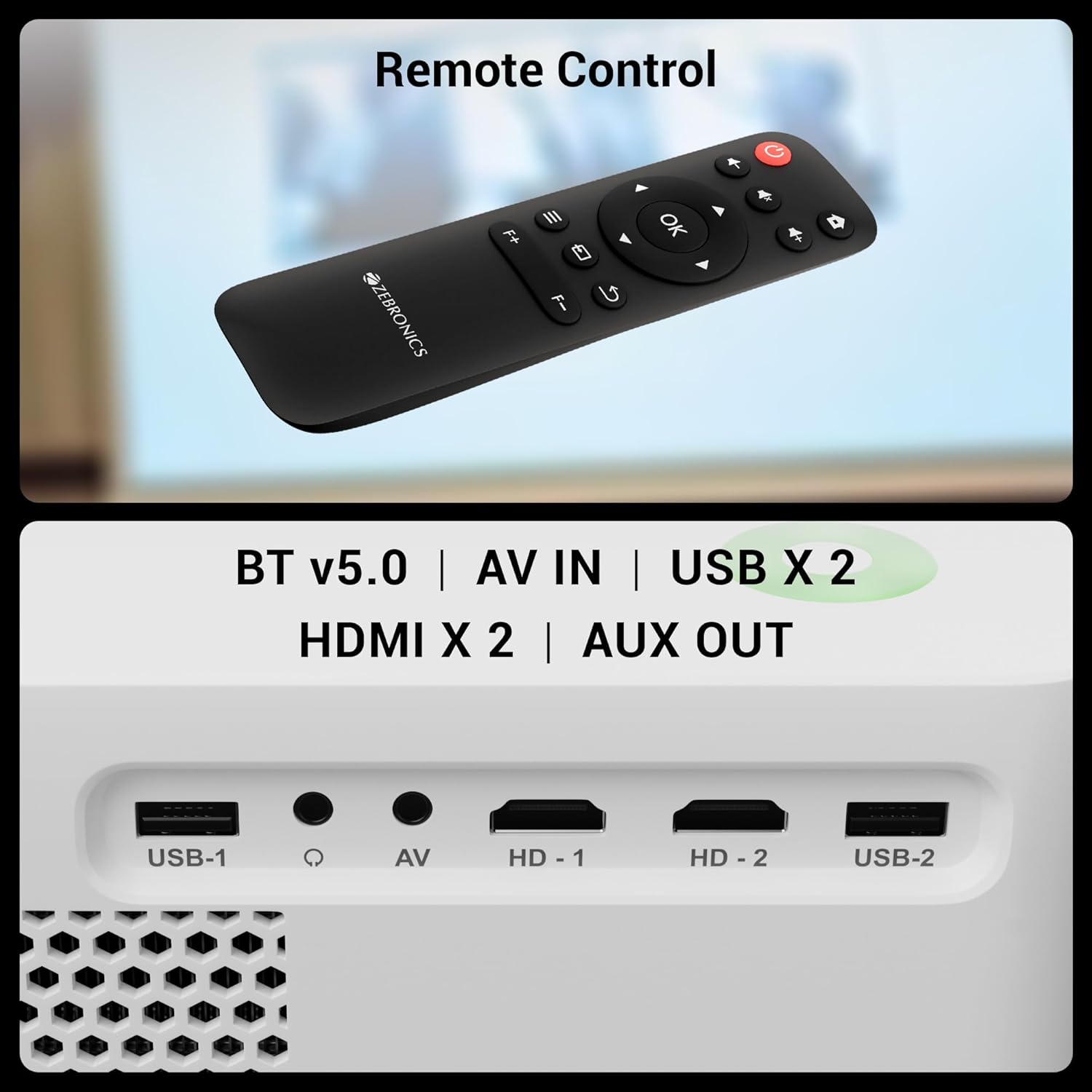 ZEBRONICS PIXAPLAY 65 Remote Control and Connectivity Ports
