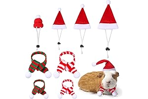 Festive Furry Friends: Tiny Christmas Hats for Adorbs Pets