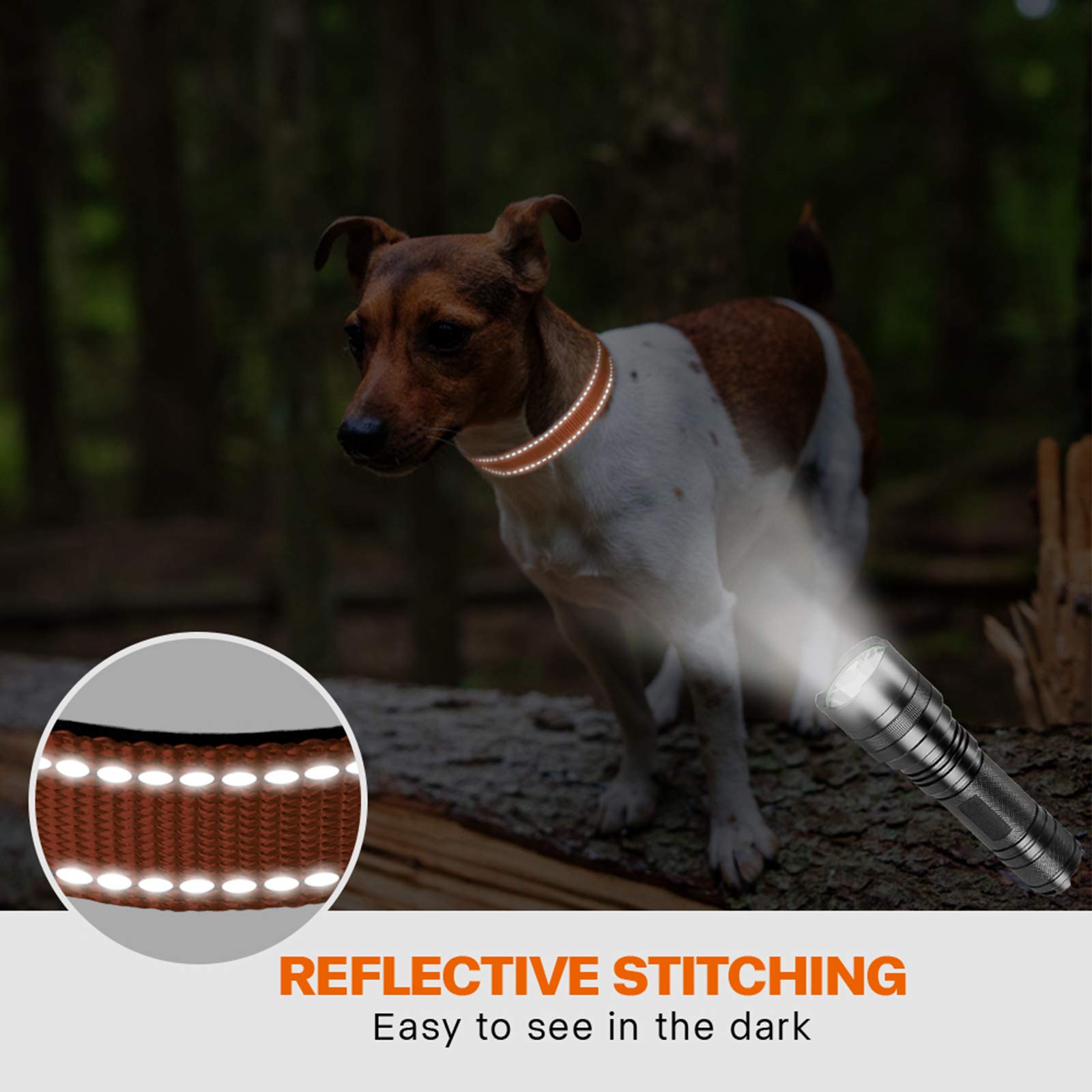 Taglory collare per cani, Imbottito Nylon Regolabile Traspirante Riflettente Collari per Cani di Taglia Piccola, Arancione