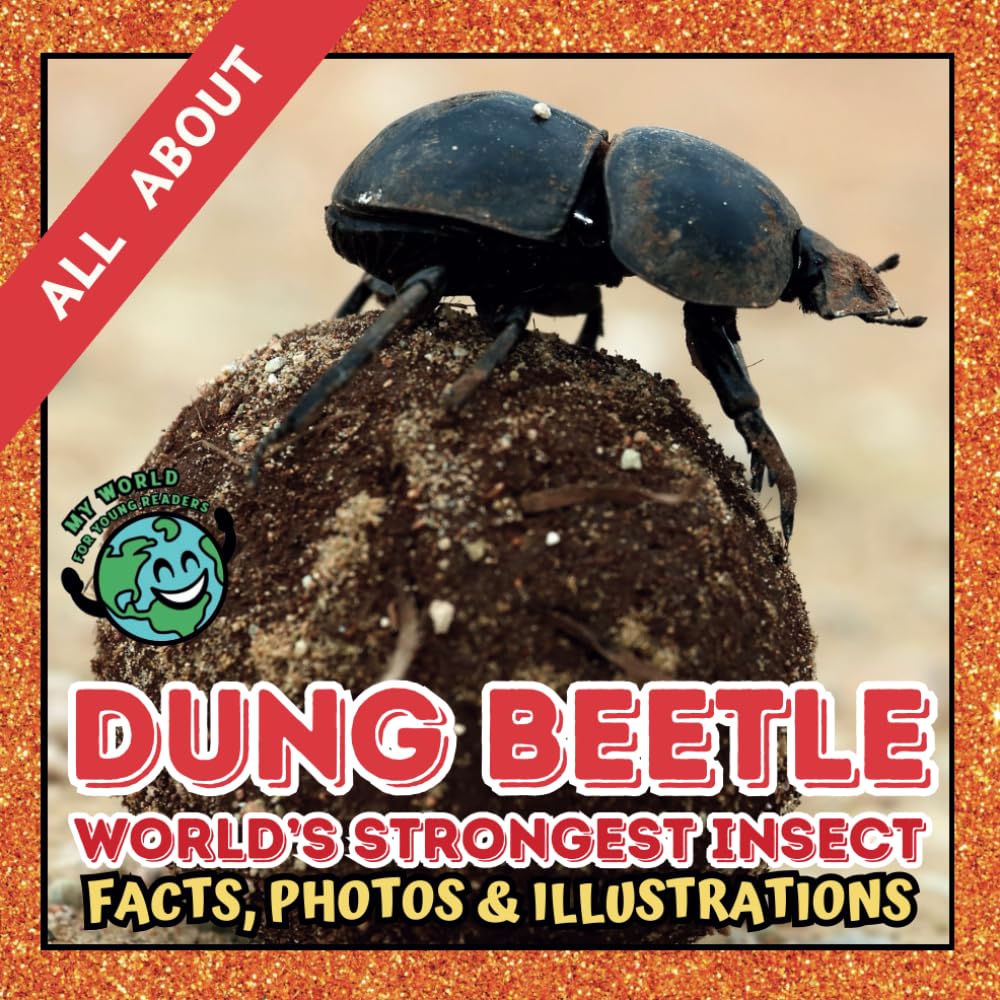 All about Dung Beetle | Facts, Photos and Illustrations: A Picture Book for Kids and Toddlers | Screen-Free Infotainment (MY WORLD for YOUNG READERS)