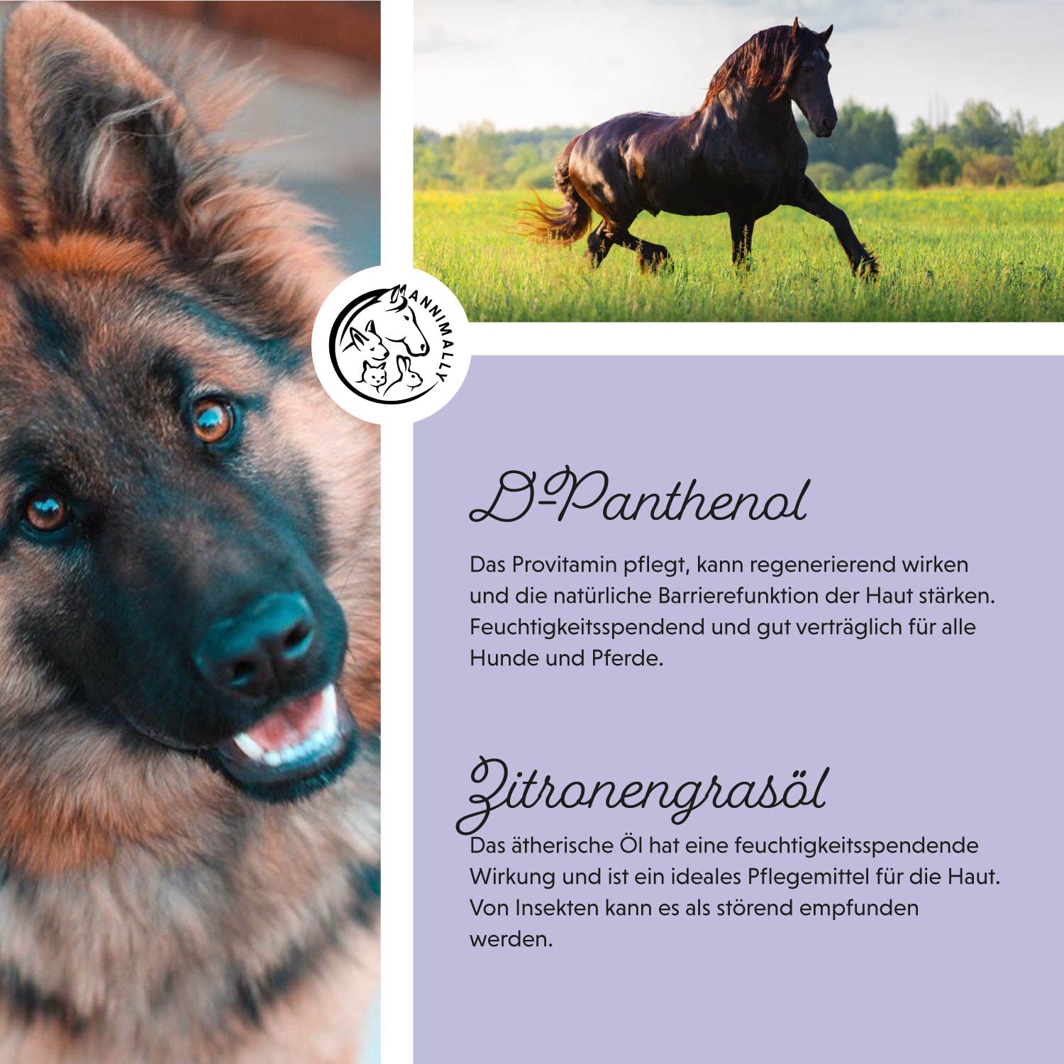 Annimally Spray per Criniera per Cavalli 500 ml - Spray per Coda e Spray Districante per Cavalli e Cani per un Pettinaggio più Facile e una Lucentezza Setosa del Pelo