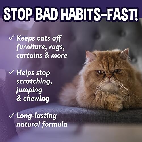 Miniatura 6 de Bodhi Dog Ayuda de entrenamiento 3 en 1 para gatos y gatitos, espray disuasorio para uso en interiores y exteriores, protege muebles, alfombras
