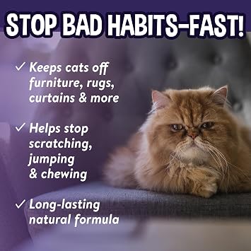 Bodhi 3-in-1 Cat & Kitten Training Aid - Cat Deterrent Spray for Indoor and Outdoor Use - Repellent to Establish Boundaries, Keep Cats Off Furniture, Protect Rugs & Plants - Made in USA (8 Fl Oz)