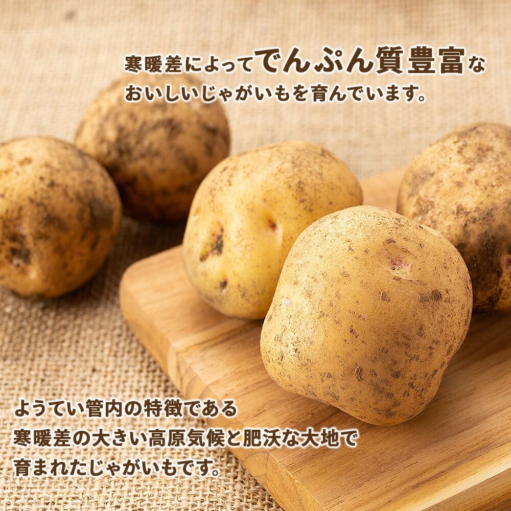 ジャンボサイズ20kg じゃがいも02