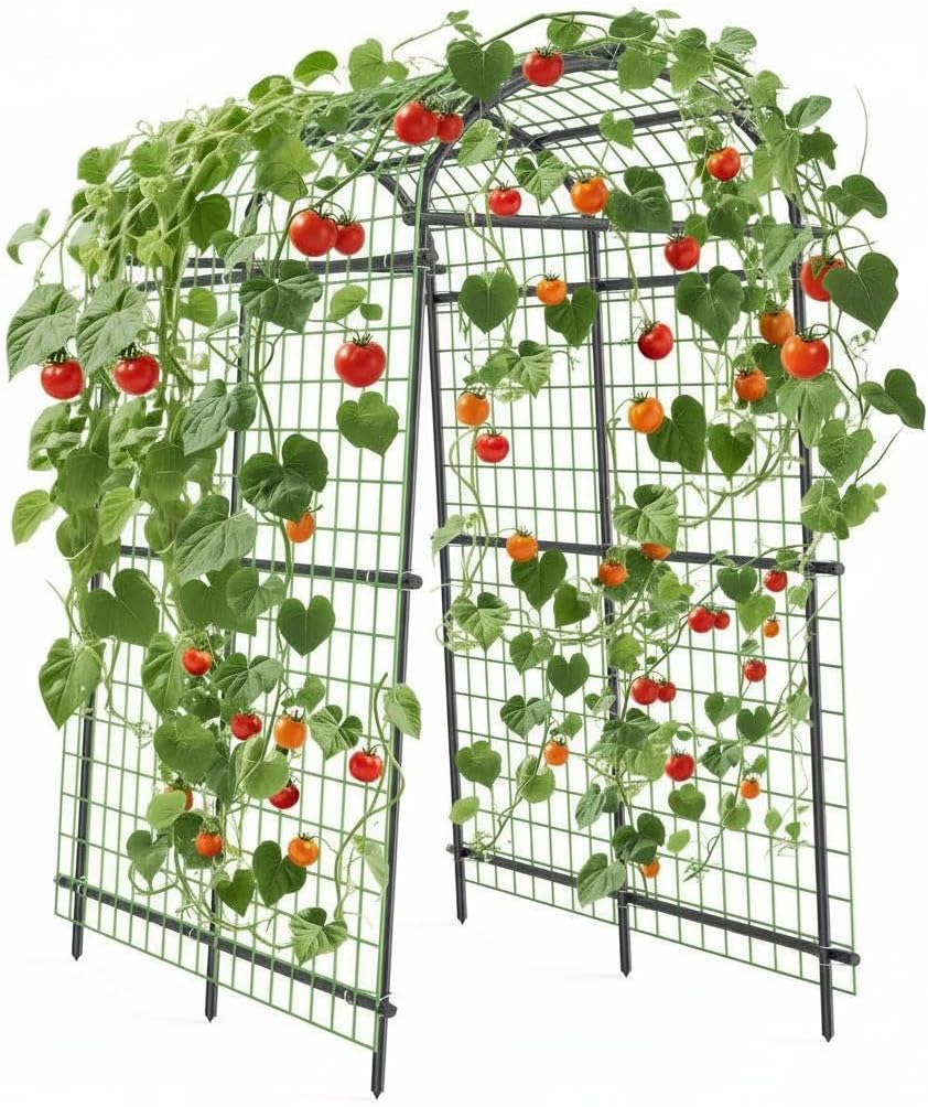 7ft Heavy Duty Garden Arch Trellis - Metal Cucumber Trellis for Raised Beds, Outdoor Steel Plant Support with Bolt Assembly & Stakes for Climbing Vegetables, Flowers
