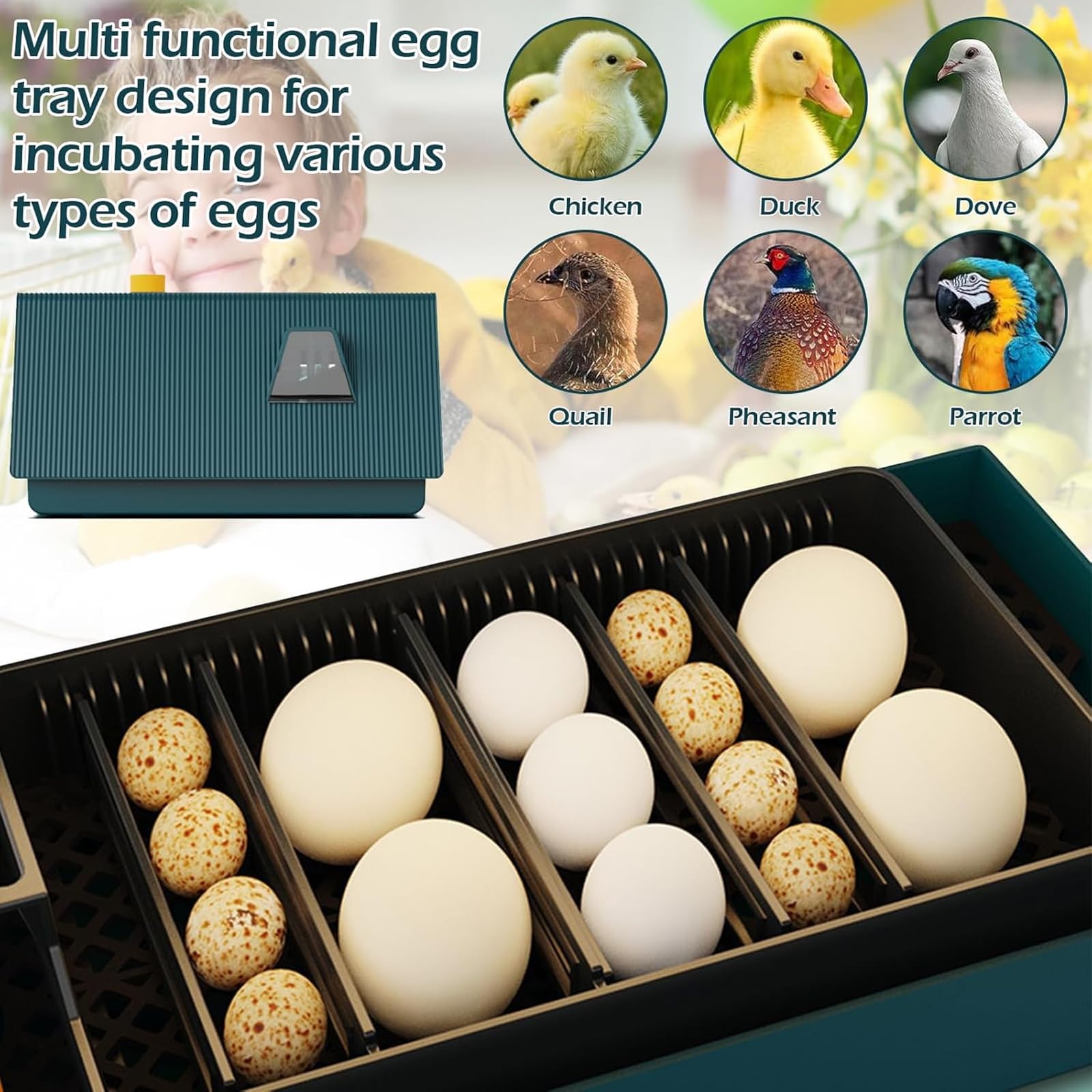Incubadora de huevos, incubadora digital automática con pantalla de temperatura y humedad, giro automático, diseño compacto para incubar pollo, pato, codorniz, huevos de pájaros