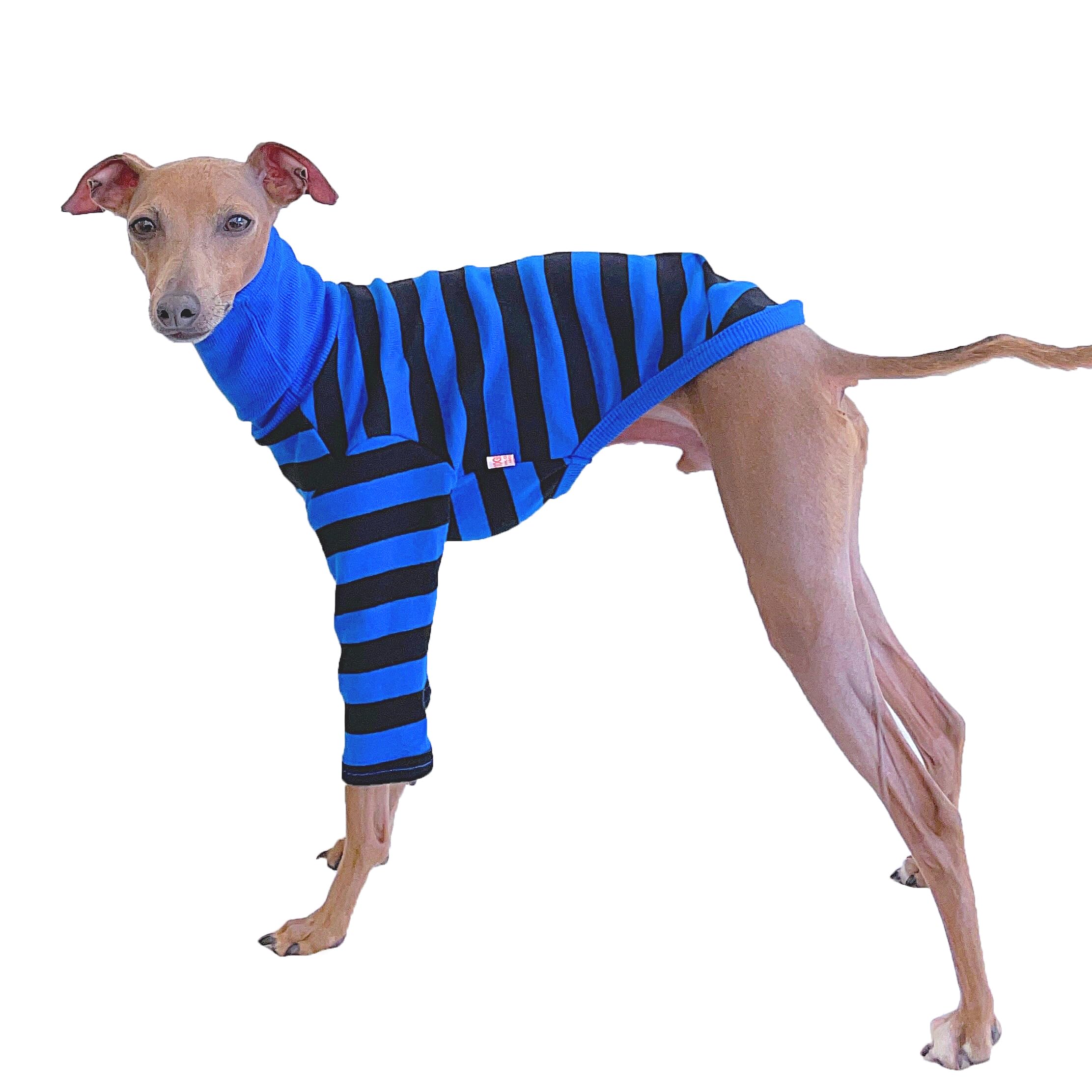 D Doggy Star Italian Greyhound Clothes Flexible T Shirts Whippet for Dogs (L,Stripe Blue/Black) โ image 1