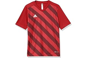 Kids' Entrada Graphic Jersey: Ignite your Soccer Spirit