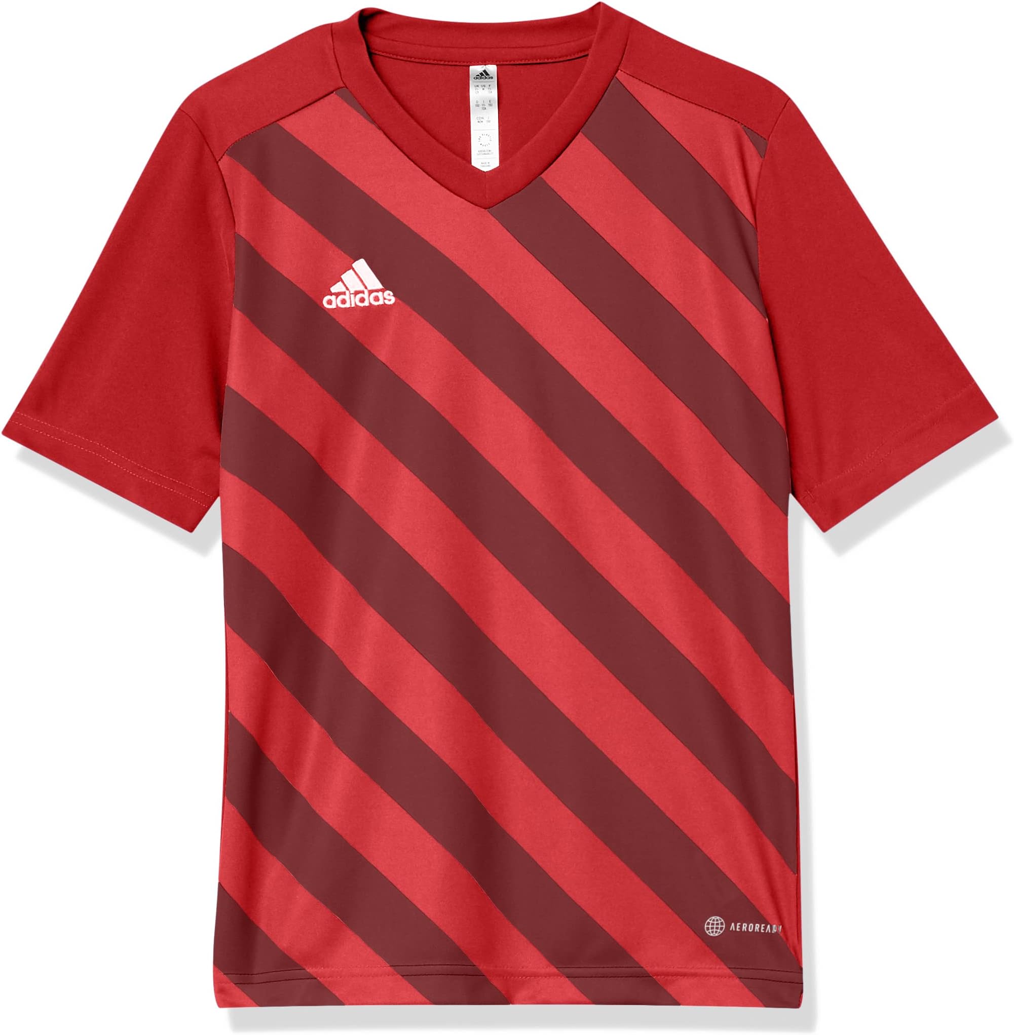 adidasKids' Entrada 22 Graphic Jersey